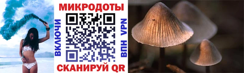 Галлюциногенные грибы Psilocybe  Купить закладки  Воткинск 